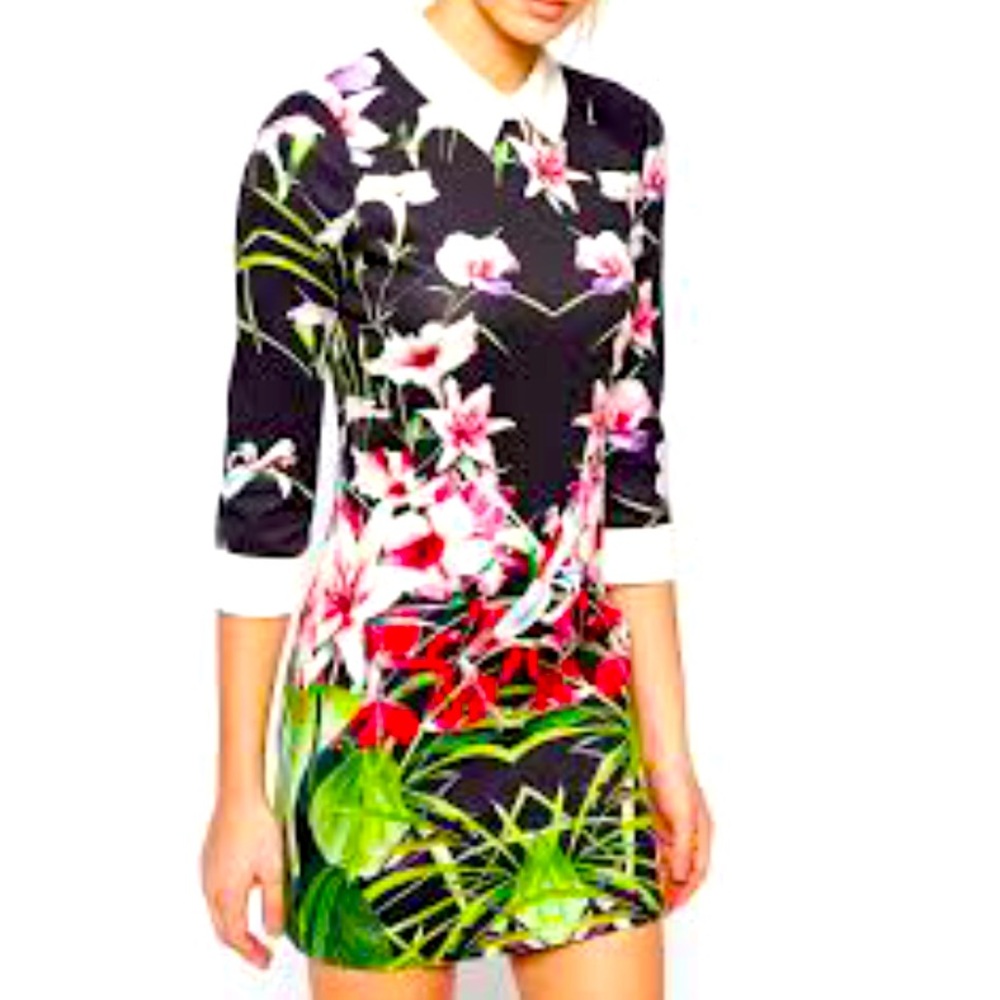 Ted Baker Floral Shift Dress 6/8 Black Stretch Collared Party Dress